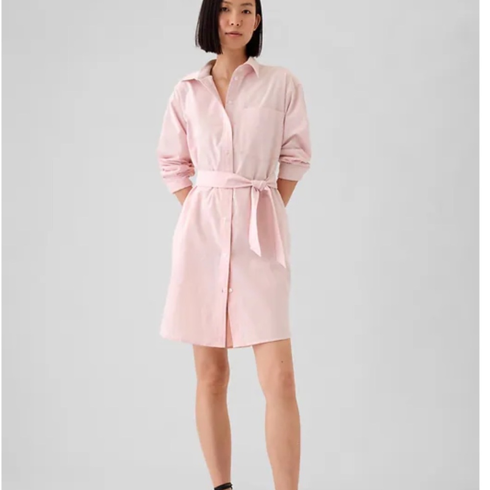 GAP Oxford Pink Belted Shirt Dress Size Tall Large